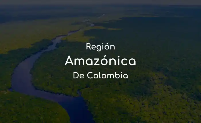 Región de la Amazonía colombiana